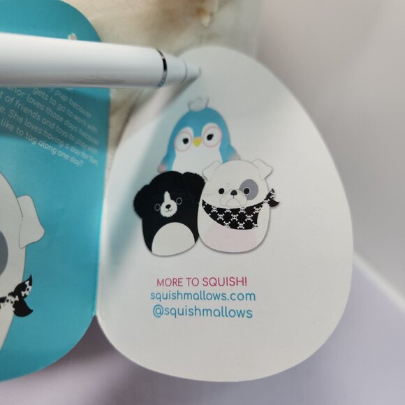 Squishmallow Elanor the Pirate Bulldog! 8”  NWT - Picture 8 of 12